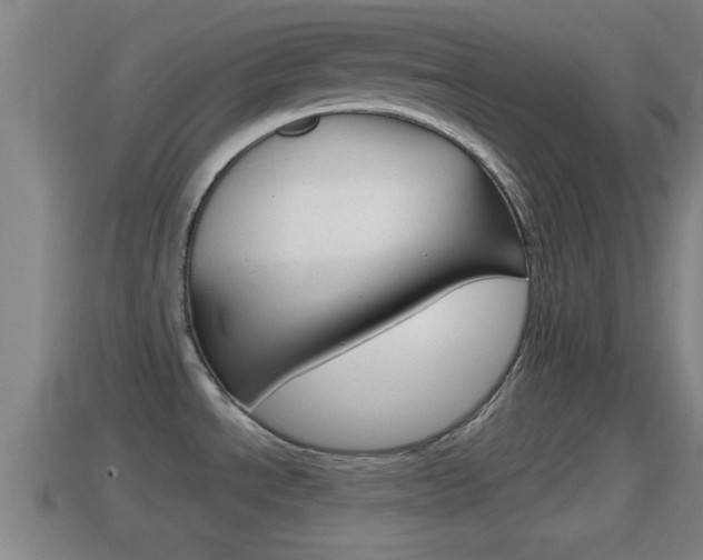 X0000114411534200910161021
