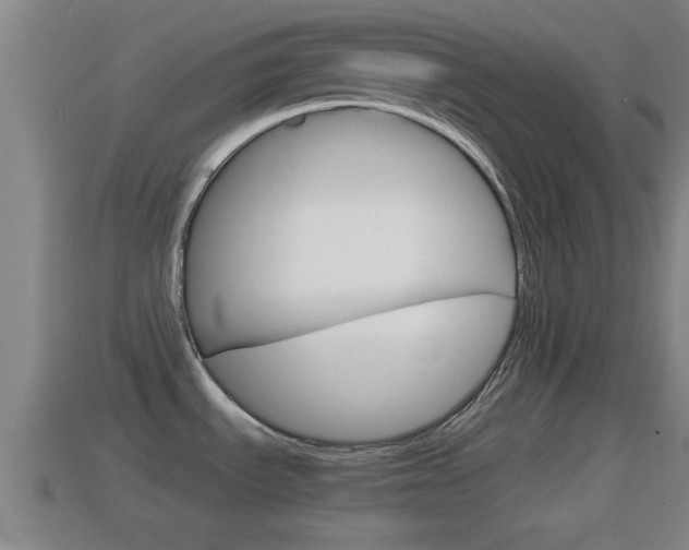 X0000114411535200910161021