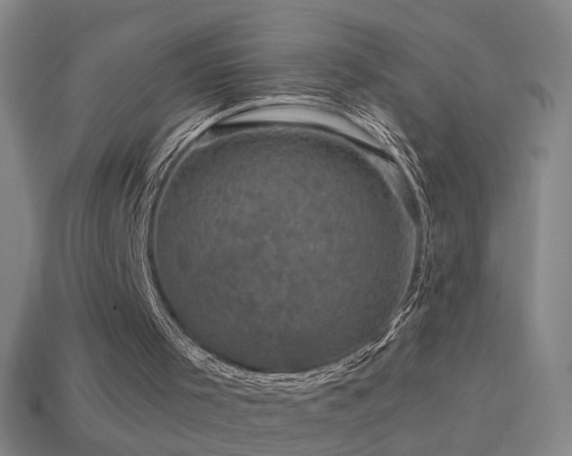 X0000114410001200910161216