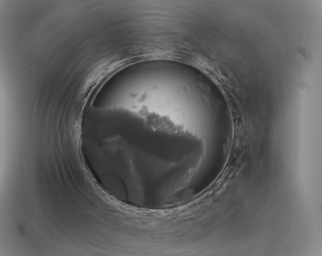 X0000114410002200910161216