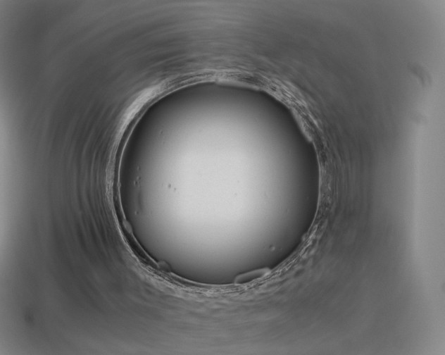 X0000114410003200910161216