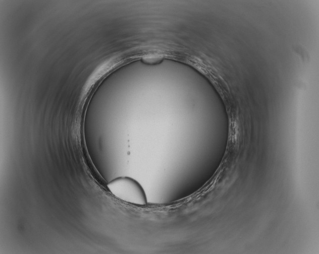 X0000114410004200910161216