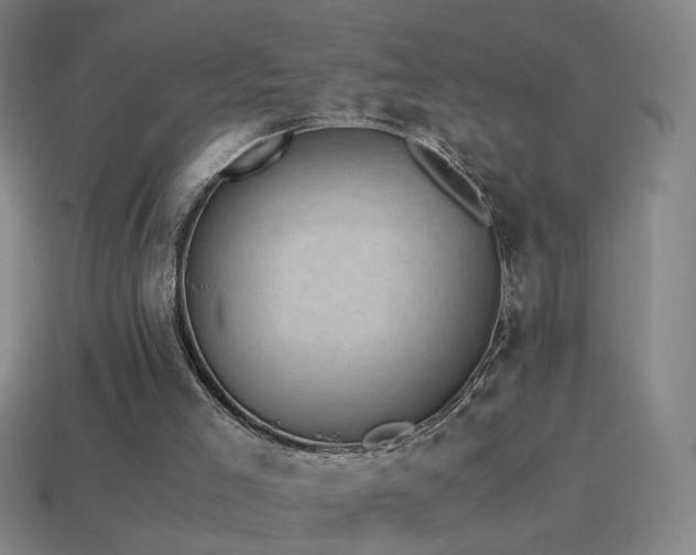 X0000114410005200910161216