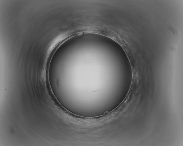 X0000114410006200910161216