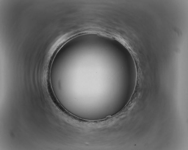 X0000114410007200910161216