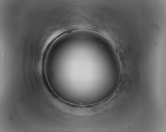 X0000114410008200910161216