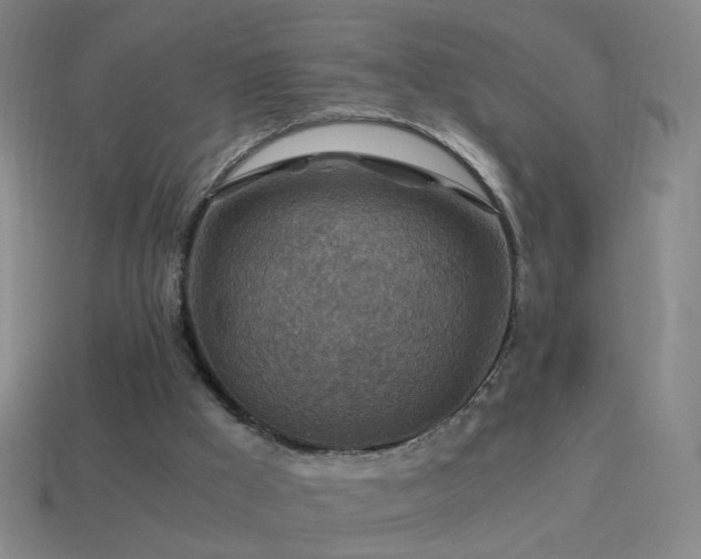 X0000114410009200910161216