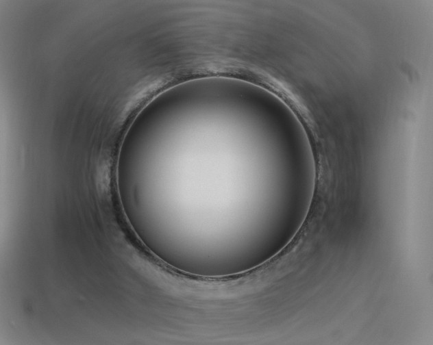 X0000114410010200910161216
