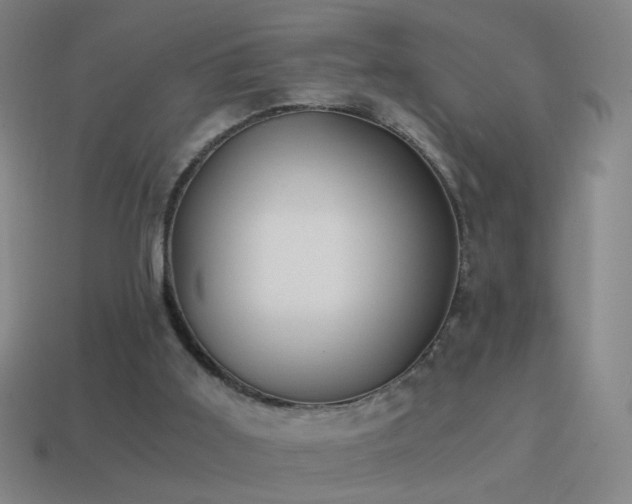 X0000114410011200910161216