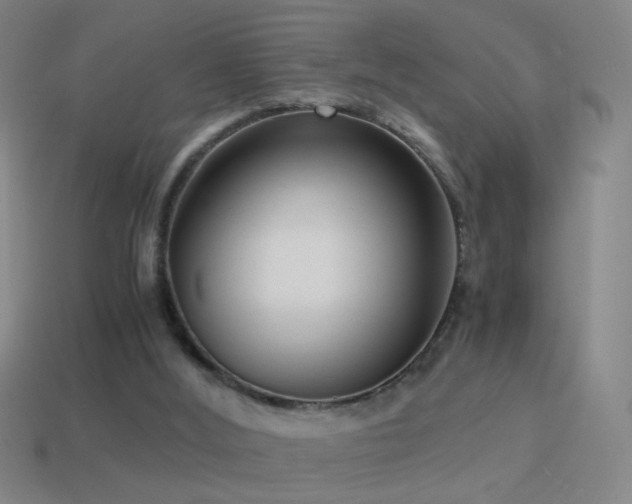 X0000114410012200910161216
