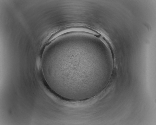 X0000114410013200910161216