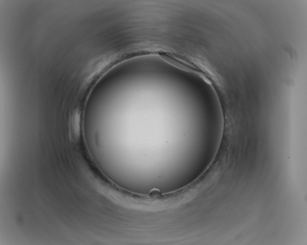 X0000114410014200910161216