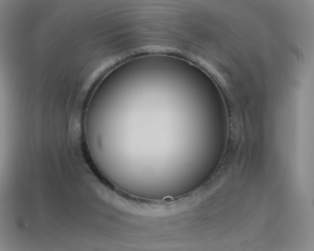 X0000114410015200910161216