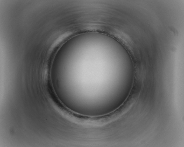 X0000114410016200910161216
