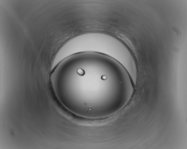 X0000114410017200910161216