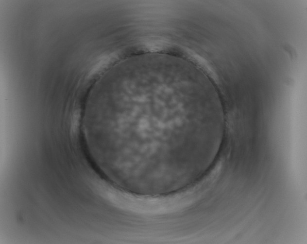 X0000114410018200910161216