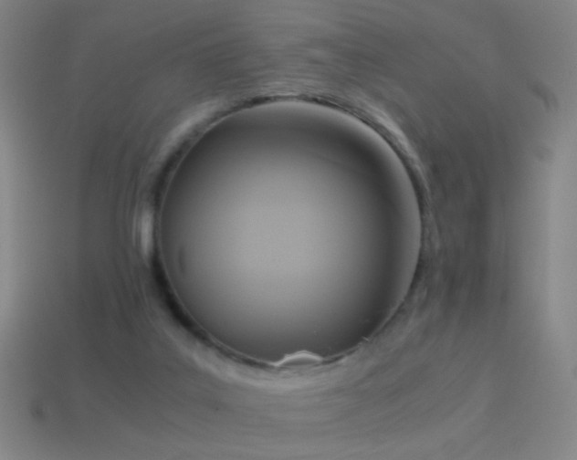 X0000114410019200910161216