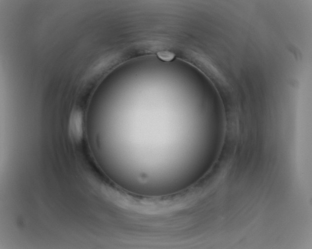 X0000114410022200910161216