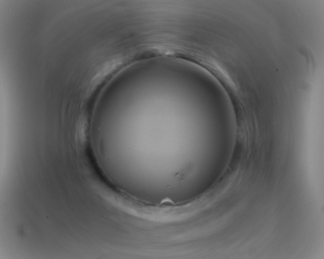 X0000114410023200910161216