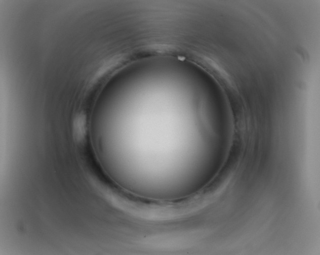 X0000114410024200910161216