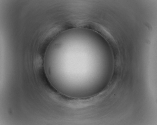X0000114410025200910161216