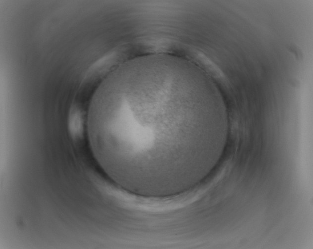 X0000114410026200910161216