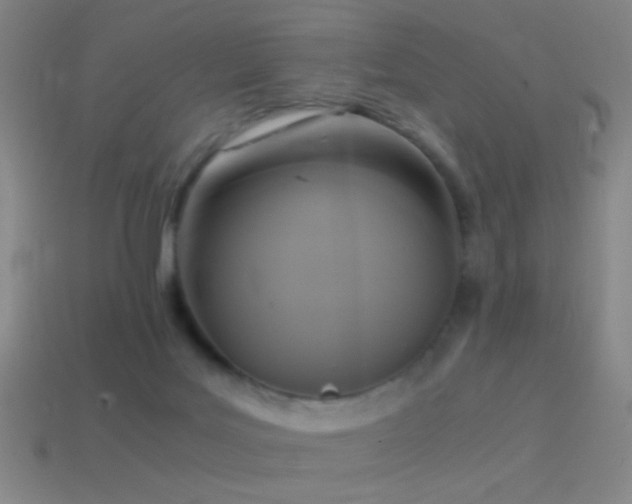 X0000114410027200910161216