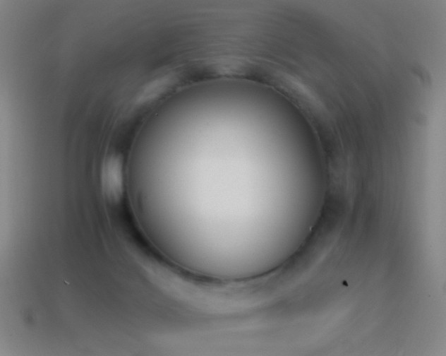 X0000114410028200910161216