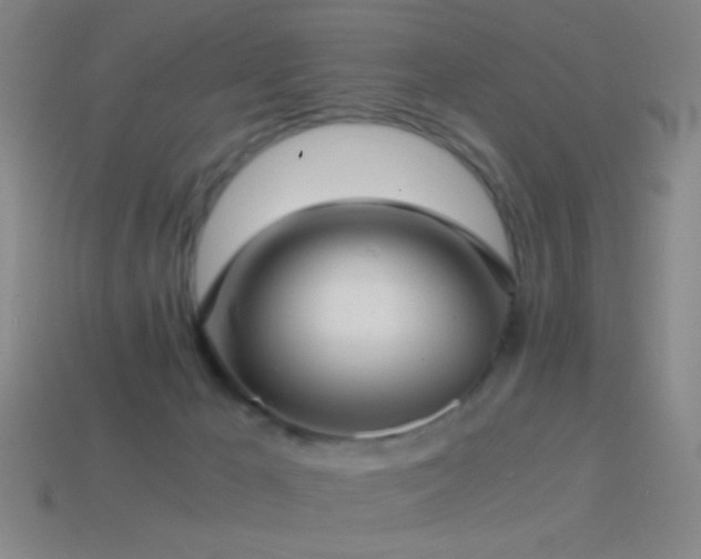 X0000114410029200910161216