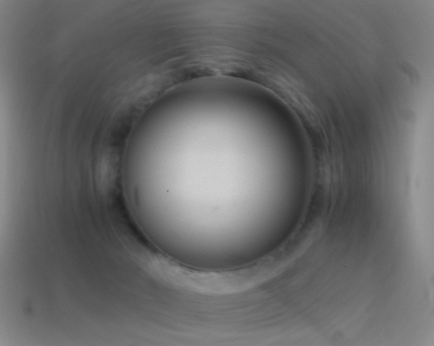 X0000114410030200910161216
