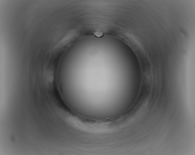 X0000114410032200910161216