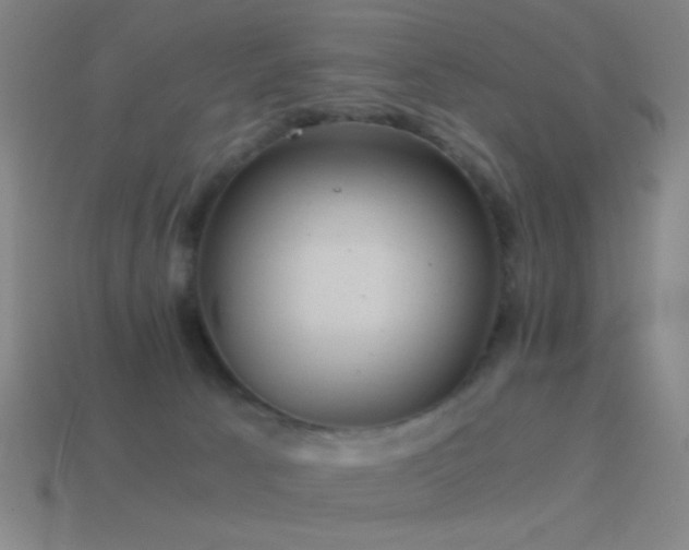 X0000114410033200910161216
