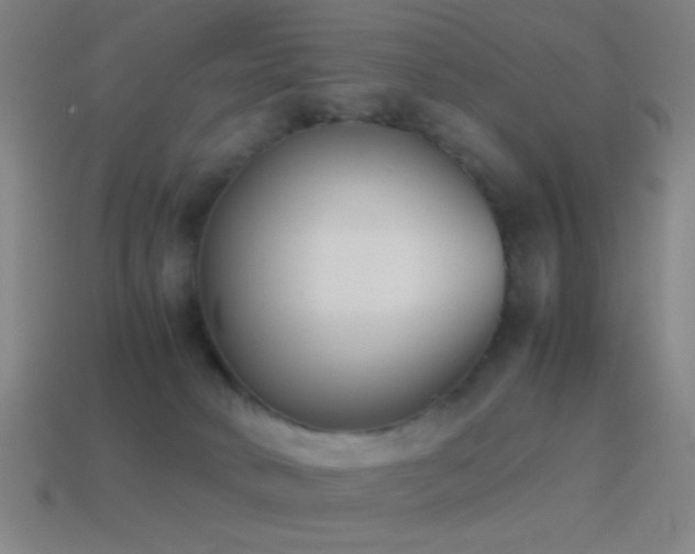 X0000114410034200910161216