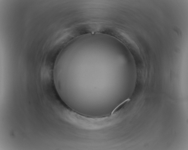 X0000114410035200910161216