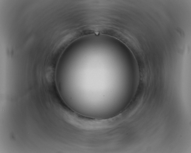 X0000114410036200910161216