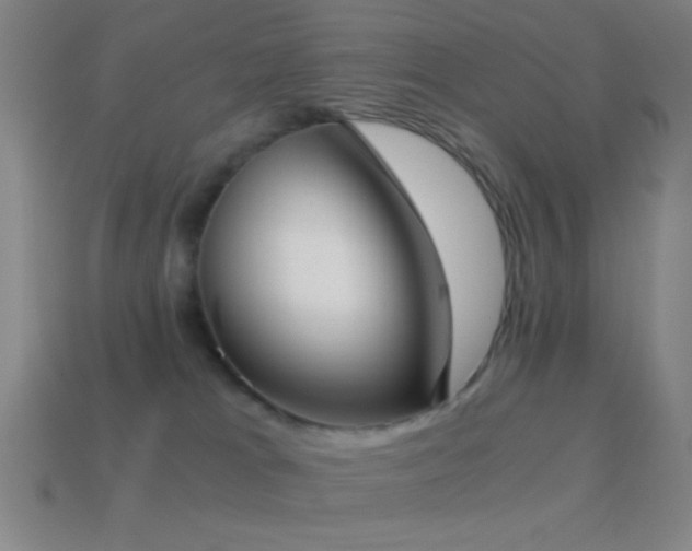 X0000114410037200910161216