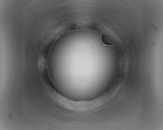 X0000114410038200910161216