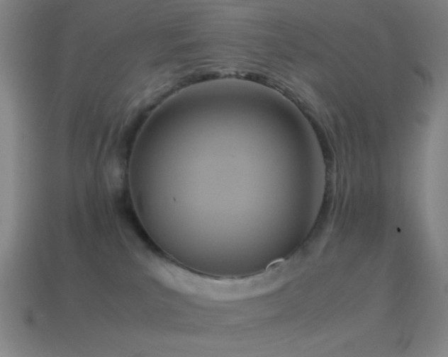 X0000114410039200910161216