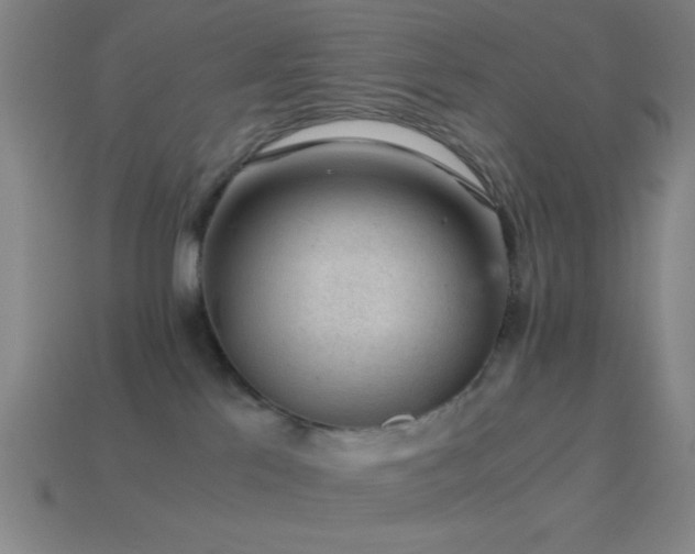 X0000114410041200910161216