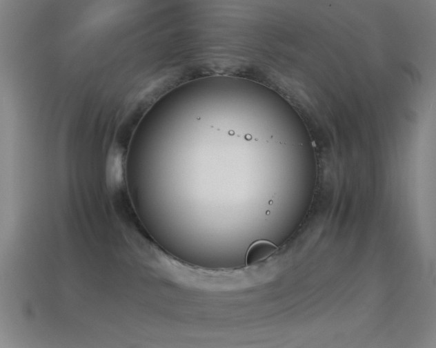 X0000114410042200910161216