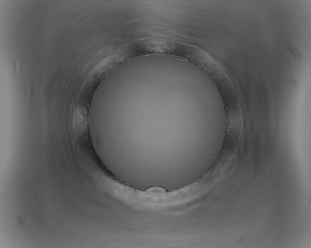 X0000114410043200910161216
