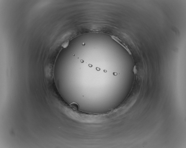 X0000114410044200910161216
