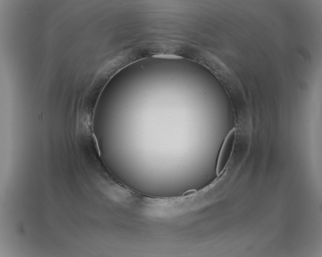 X0000114410045200910161216