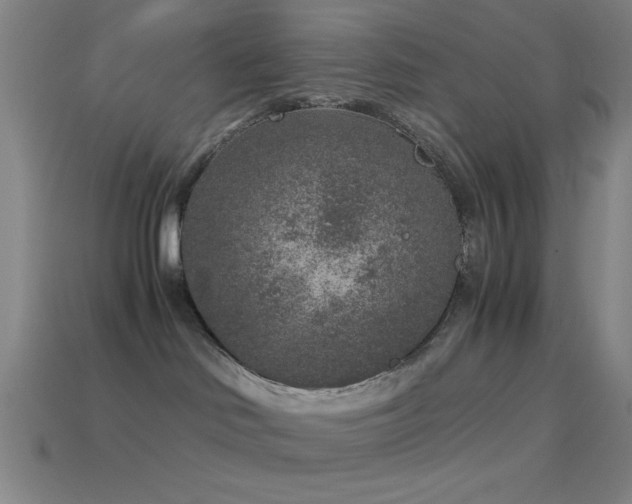 X0000114410046200910161216