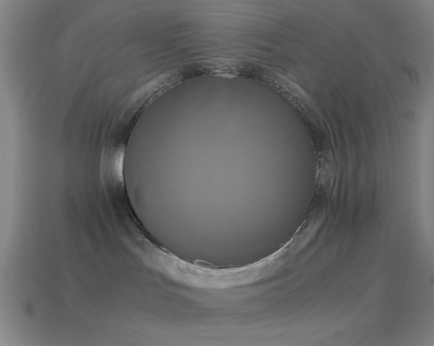 X0000114410047200910161216