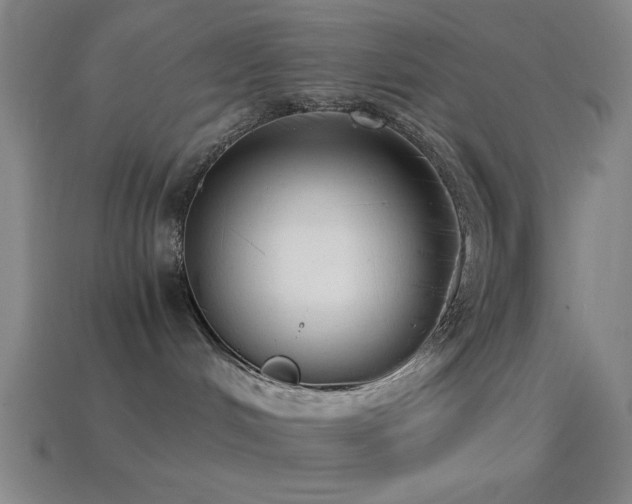 X0000114410048200910161216