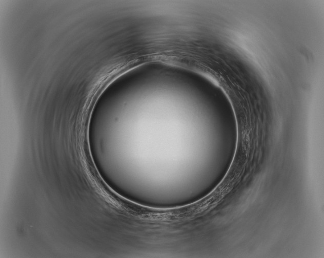 X0000114410049200910161215