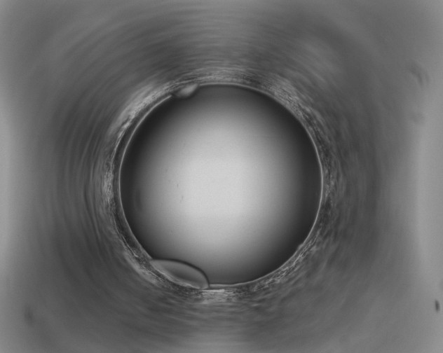 X0000114410050200910161215