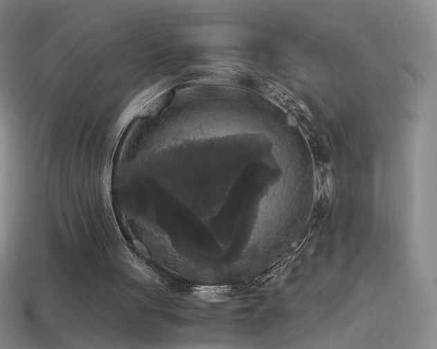 X0000114410051200910161215