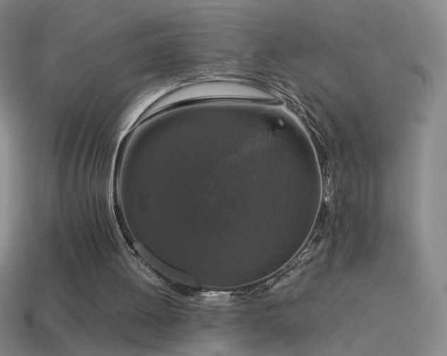 X0000114410052200910161215